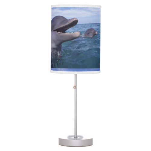 Caribbean Bottlenose dolphins Tursiops 5 Table Lamp