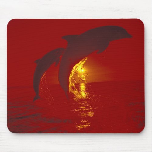 Caribbean Bottlenose dolphins Tursiops 9 Mouse Pad