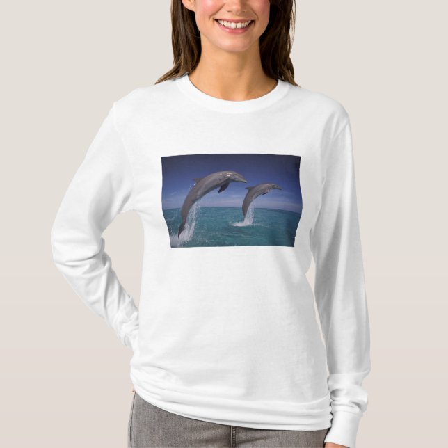 Caribbean, Bottlenose dolphins Tursiops T-Shirt (Front)