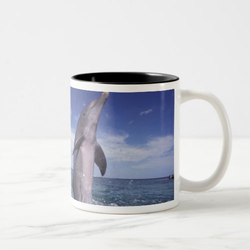 Caribbean Bottlenose dolphins Tursiops Two_Tone Coffee Mug