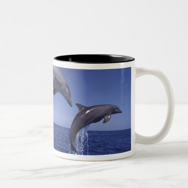 Caribbean, Bottlenose dolphins Two-Tone Coffee Mug (Right)
