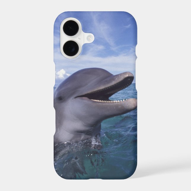 Caribbean, Bottlenose Iphone Case (Back)