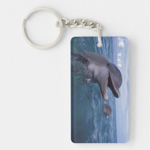 Caribbean, Bottlenose Keychain
