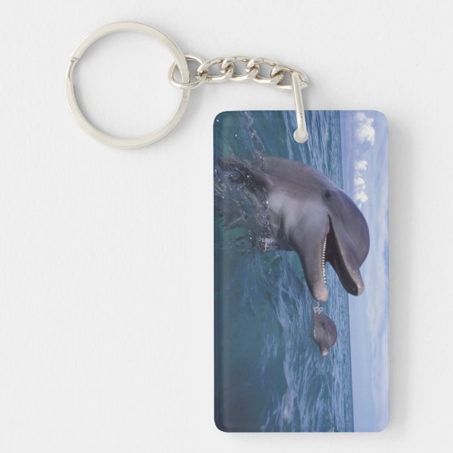 Caribbean, Bottlenose Keychain (Front)
