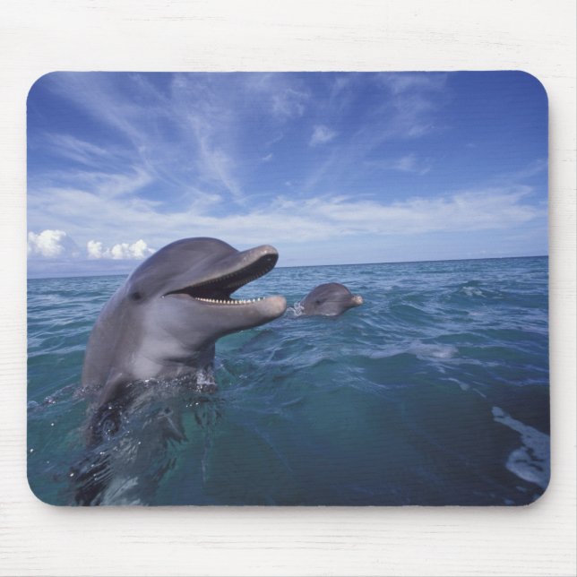 Caribbean, Bottlenose Mouse Pad (Front)