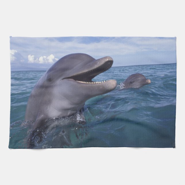 Caribbean, Bottlenose Towel (Horizontal)