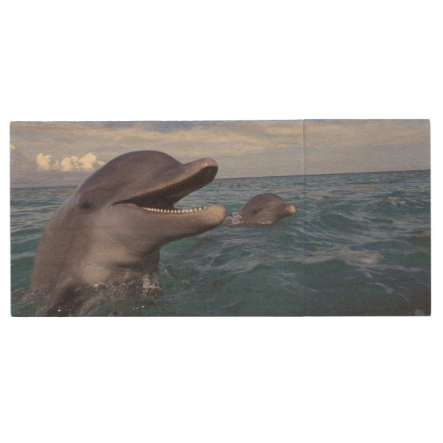 Caribbean, Bottlenose Wood USB Flash Drive (Front)