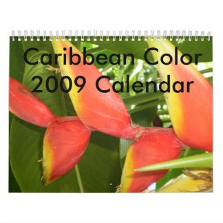 Caribbean Color...The Flowers Calender 2009 Calendar
