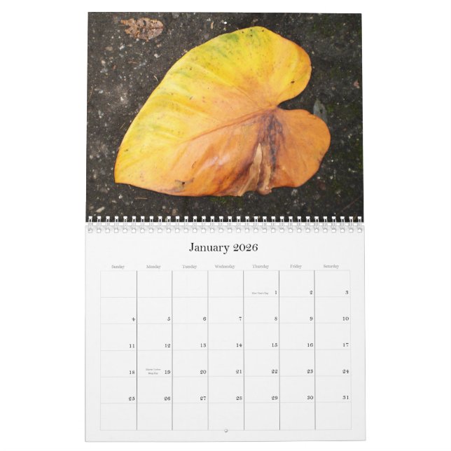 Caribbean Color...The Flowers Calender 2009 Calendar (Jan 2026)