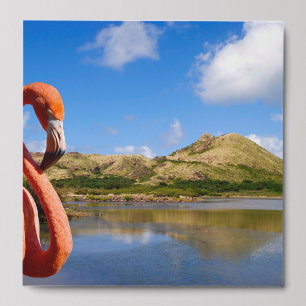 Caribbean flamingo in St kitts Board Peel And Stick Photo Tile