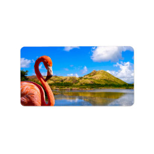 Caribbean flamingo in St kitts Label
