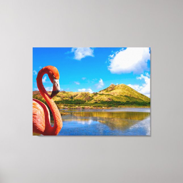 Caribbean flamingo in St kitts Triptych Canvas Print (Front)