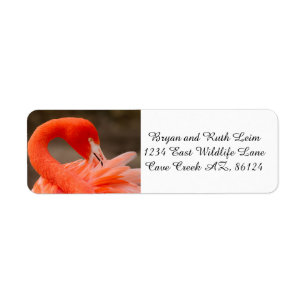 Caribbean flamingo label