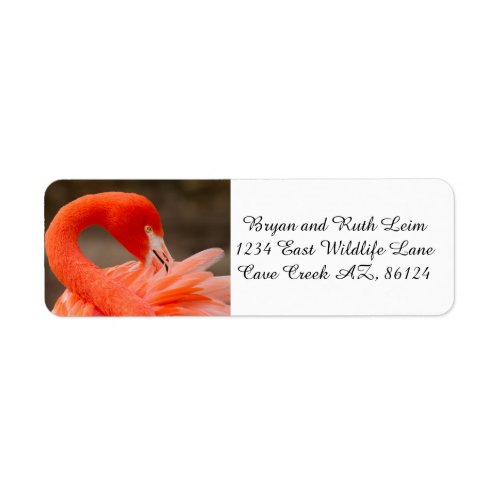Caribbean flamingo label