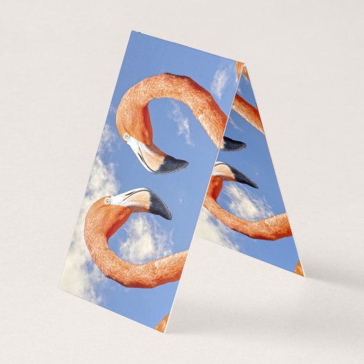 Caribbean flamingo love heart (Back)