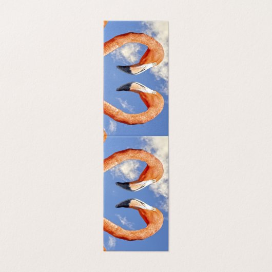 Caribbean flamingo love heart (Outside Unfolded)