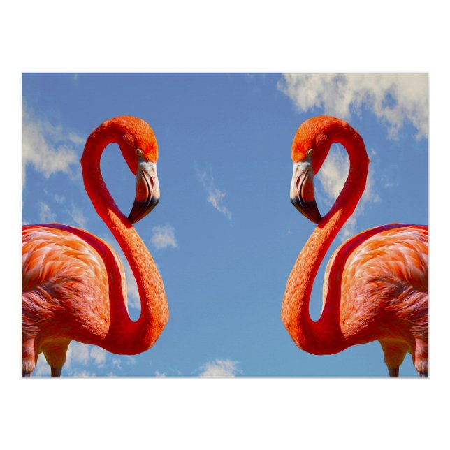 Caribbean flamingo pair poster (Front)
