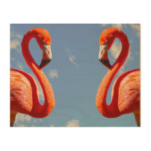 Caribbean flamingo pair