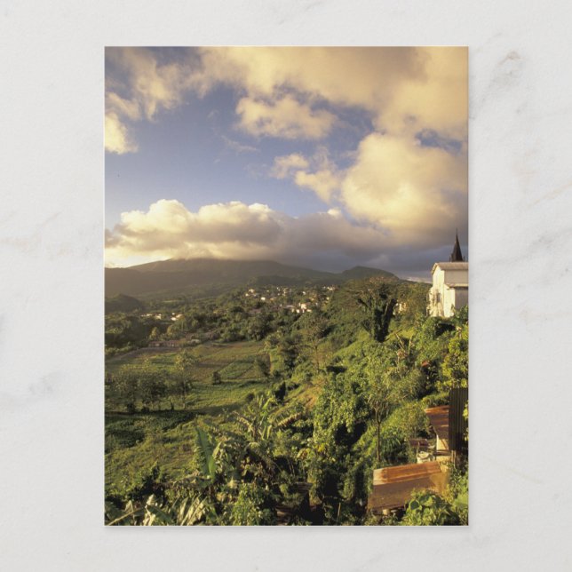 Caribbean, French West Indies, Martinique. Postcard (Front)