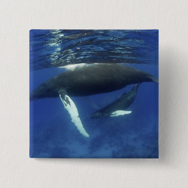 Caribbean, Greater Antilles archipelago, Pinback Button (Front)