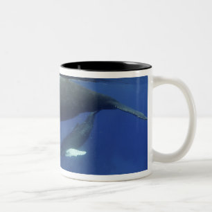 Caribbean, Greater Antilles archipelago, Two-Tone Coffee Mug