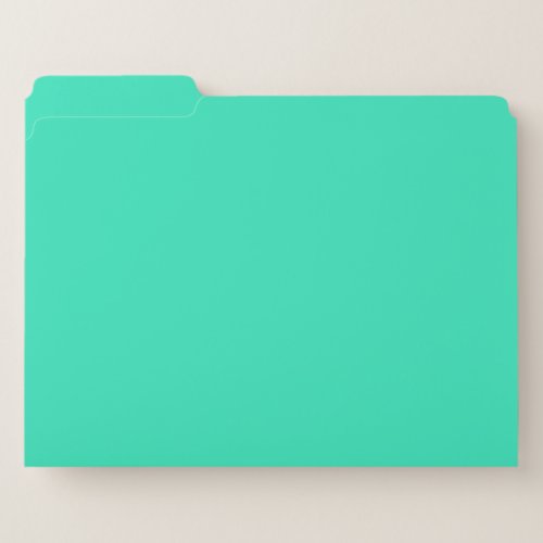  Caribbean Green solid color  File Folder