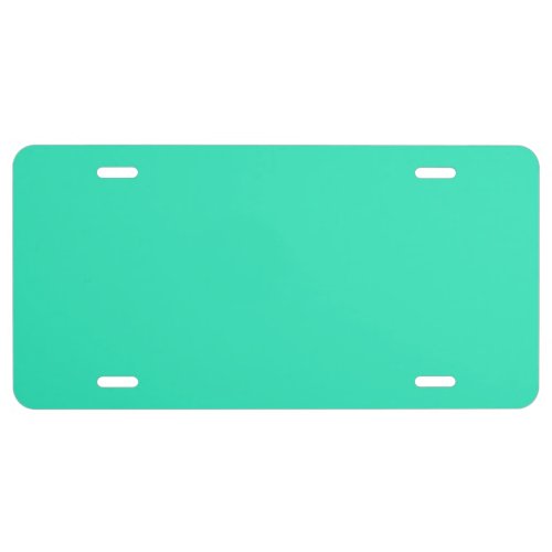  Caribbean Green solid color  License Plate