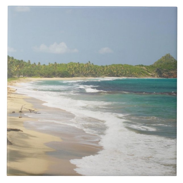 Caribbean, GRENADA, East Coast, Grenada Bay, Ceramic Tile (Front)
