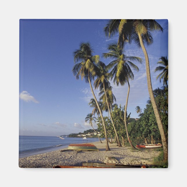 CARIBBEAN, Grenada, St. George, Boats on palm Magnet (Front)