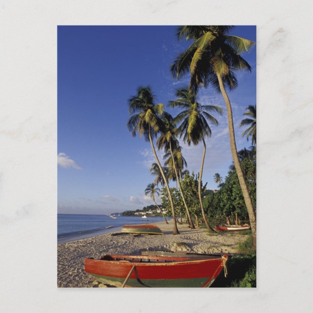 CARIBBEAN, Grenada, St. George, Boats on palm Postcard (Front)
