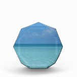 Caribbean Horizon Tropical Turquoise Blue Award