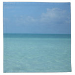 Caribbean Horizon Tropical Turquoise Blue Cloth Napkin