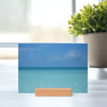 Caribbean Horizon Tropical Turquoise Blue Holder