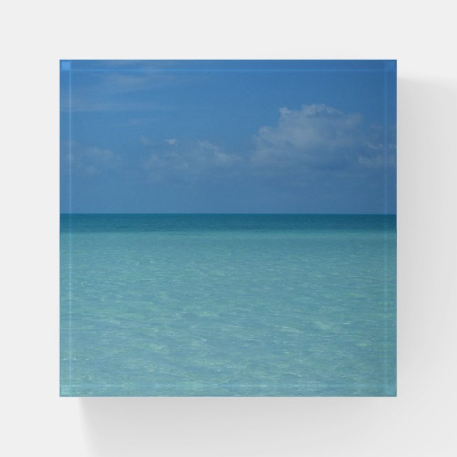 Caribbean Horizon Tropical Turquoise Blue Paperweight (Front)