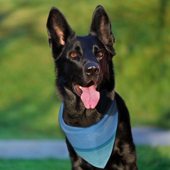 Caribbean Horizon Tropical Turquoise Blue Pet Bandana Collar (Dog)