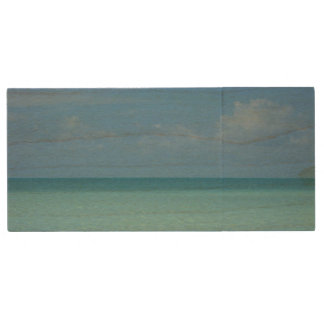 Caribbean Horizon Tropical Turquoise Blue Wood Flash Drive