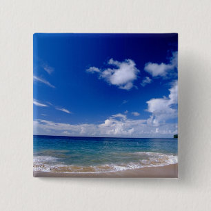 Caribbean, Lesser Antilles, West Indies, Button