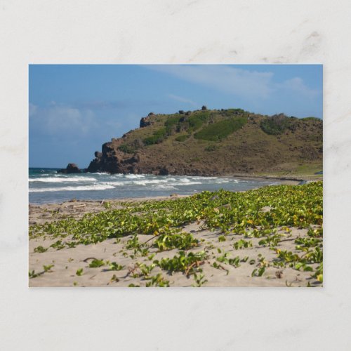 Caribbean lsland Deserted Beach Scene Postcard