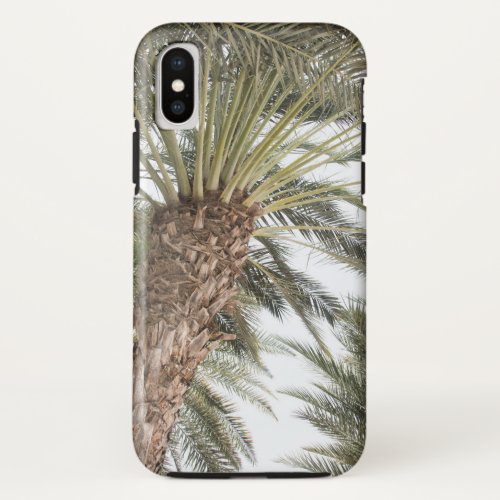 Caribbean Palm Trees Beach 5 tropical wall art iPhone X Case