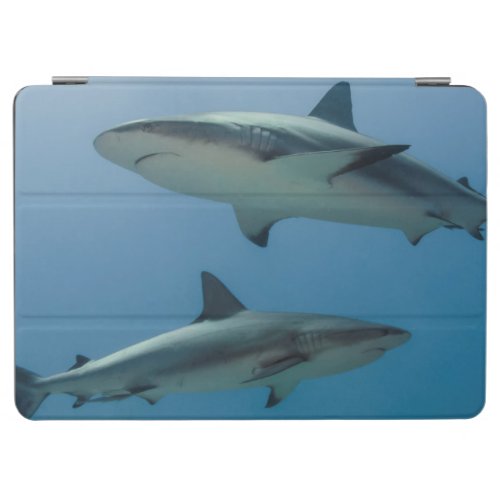 Caribbean Reef Shark iPad Air Cover
