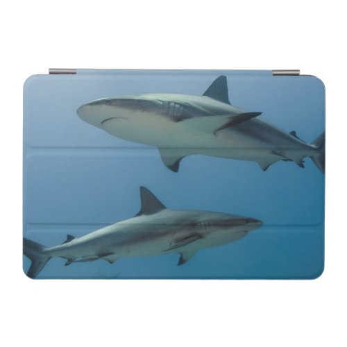 Caribbean Reef Shark iPad Mini Cover
