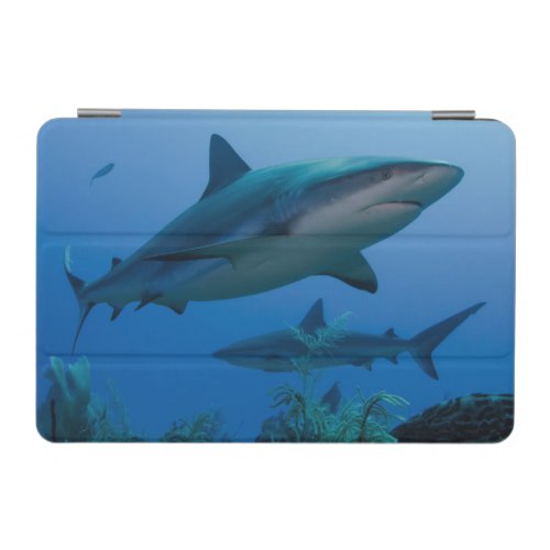 Caribbean Reef Shark Jardines de la Reina iPad Mini Cover