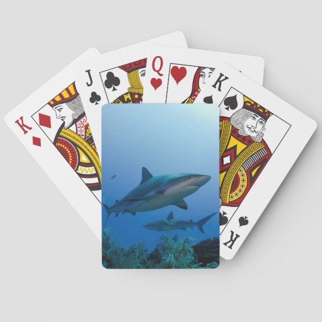 Caribbean Reef Shark Jardines de la Reina Poker Cards (Back)