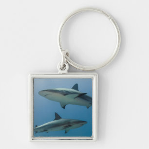Caribbean Reef Shark Keychain