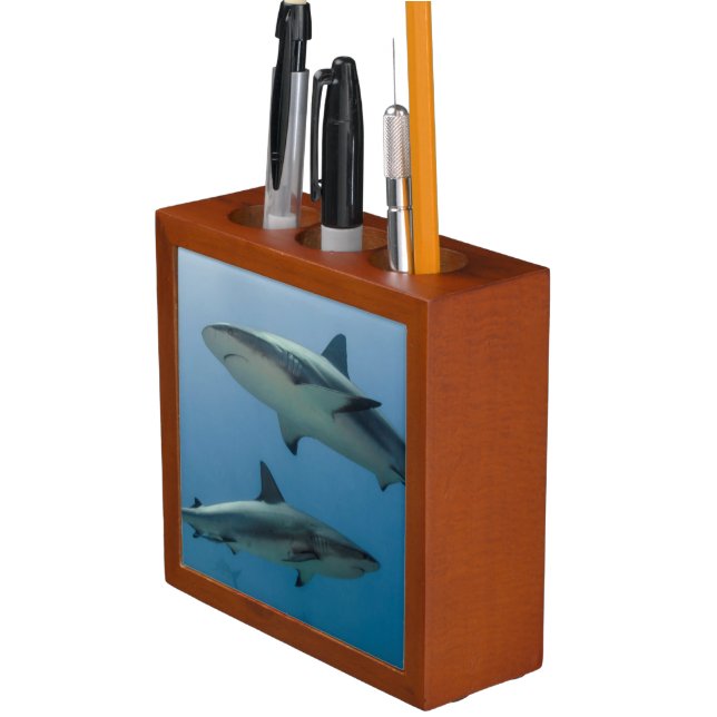 Caribbean Reef Shark Pencil/Pen Holder (In Situ)