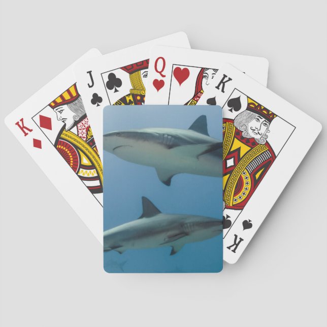 Caribbean Reef Shark Poker Cards (Back)