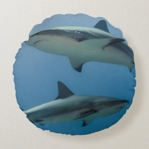 Caribbean Reef Shark Round Pillow