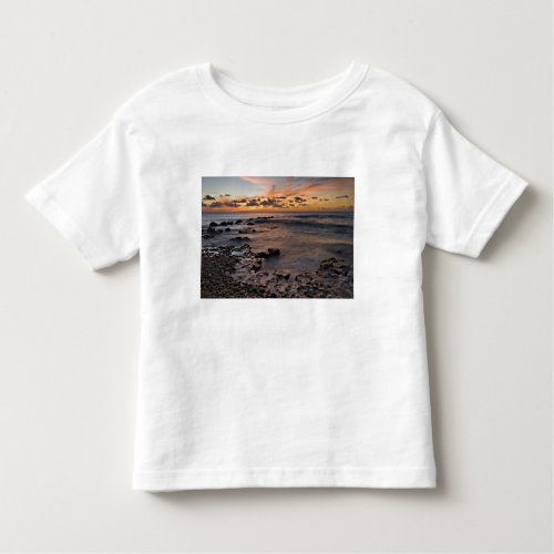 Caribbean Sea Cayman Islands Crashing waves 2 Toddler T_shirt