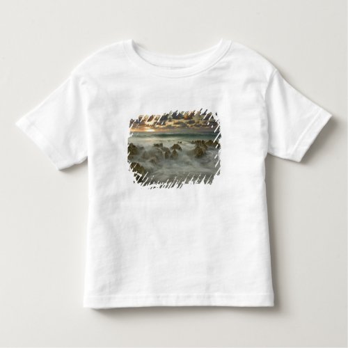 Caribbean Sea Cayman Islands  Crashing waves 3 Toddler T_shirt