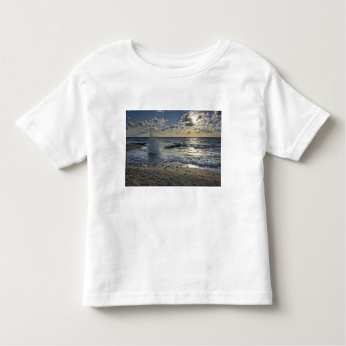 Caribbean Sea Cayman Islands  Crashing waves Toddler T_shirt